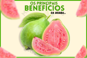 os benefícios da goiaba, perder peso, perder barriga, perder pochete, emagrecer, marmita fitness, receitas fitness, receitas saudáveis, Dietas baixas em carboidratos, low carb, receitas com rap10