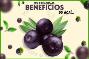 Os benefícios do Açaí, perder peso, perder barriga, perder pochete, emagrecer, marmita fitness, receitas fitness, receitas saudáveis, Dietas baixas em carboidratos, low carb, receitas com rap10